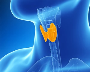 Endocrine ailments